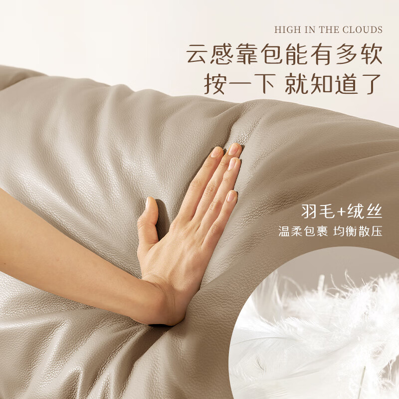 真皮固定款沙发（1323云端）