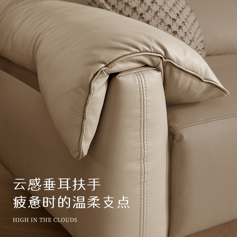 真皮固定款沙发（1323云端）